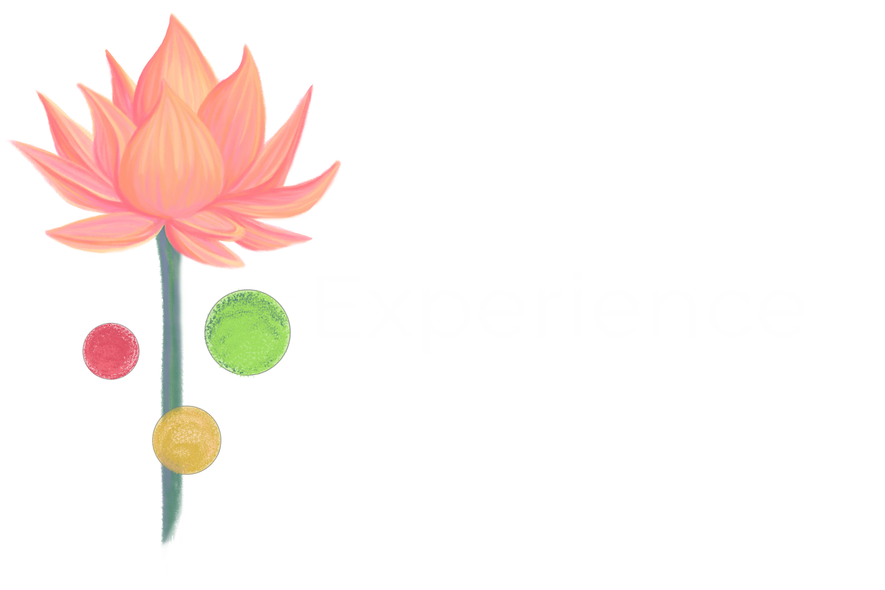 lotus logo for experience realities lab